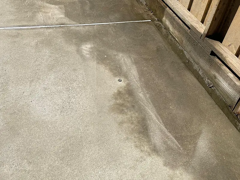 Gallery Thumbnail 13