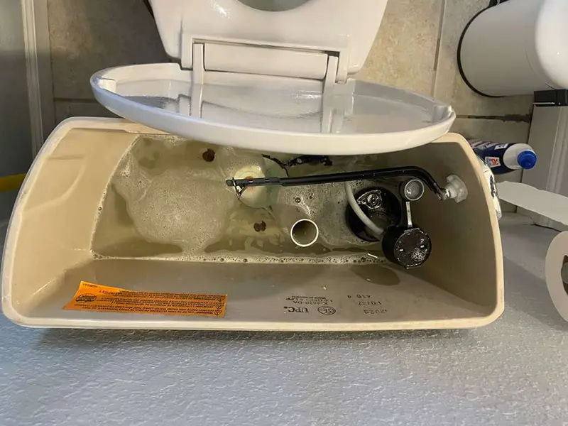 Gallery Thumbnail 22